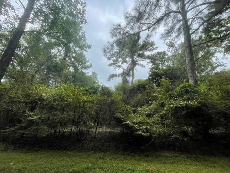 0 Corolla Road Magnolia TX 77354