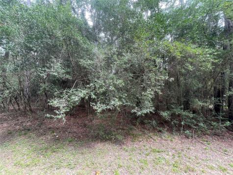 0 Corolla Road Magnolia TX 77354