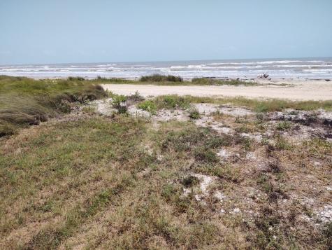 1703 Canal Drive Sargent TX 77414