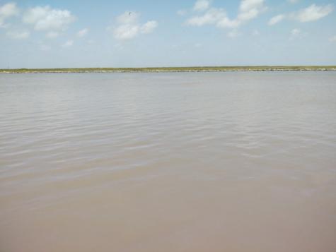1703 Canal Drive Sargent TX 77414