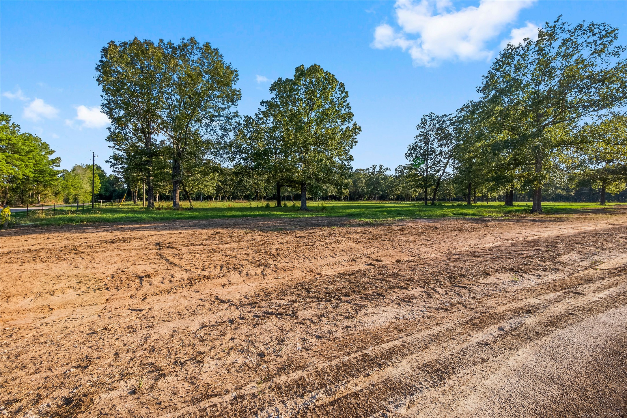 6160 Alans Memorial Lane New Waverly TX 77358