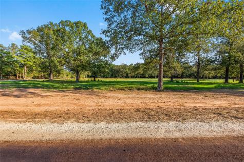 6160 Alans Memorial Lane New Waverly TX 77358