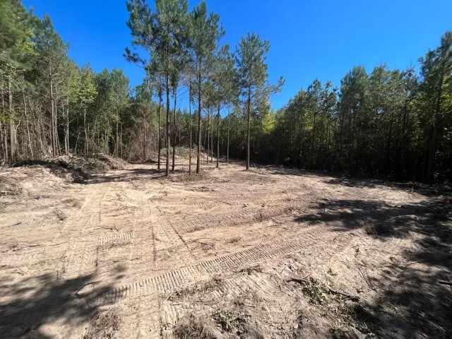 Tract 5-c Fm 161 N Hughes Springs TX 75656