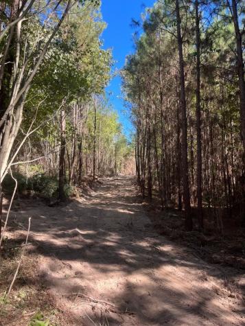 Tract 5-c Fm 161 N Hughes Springs TX 75656