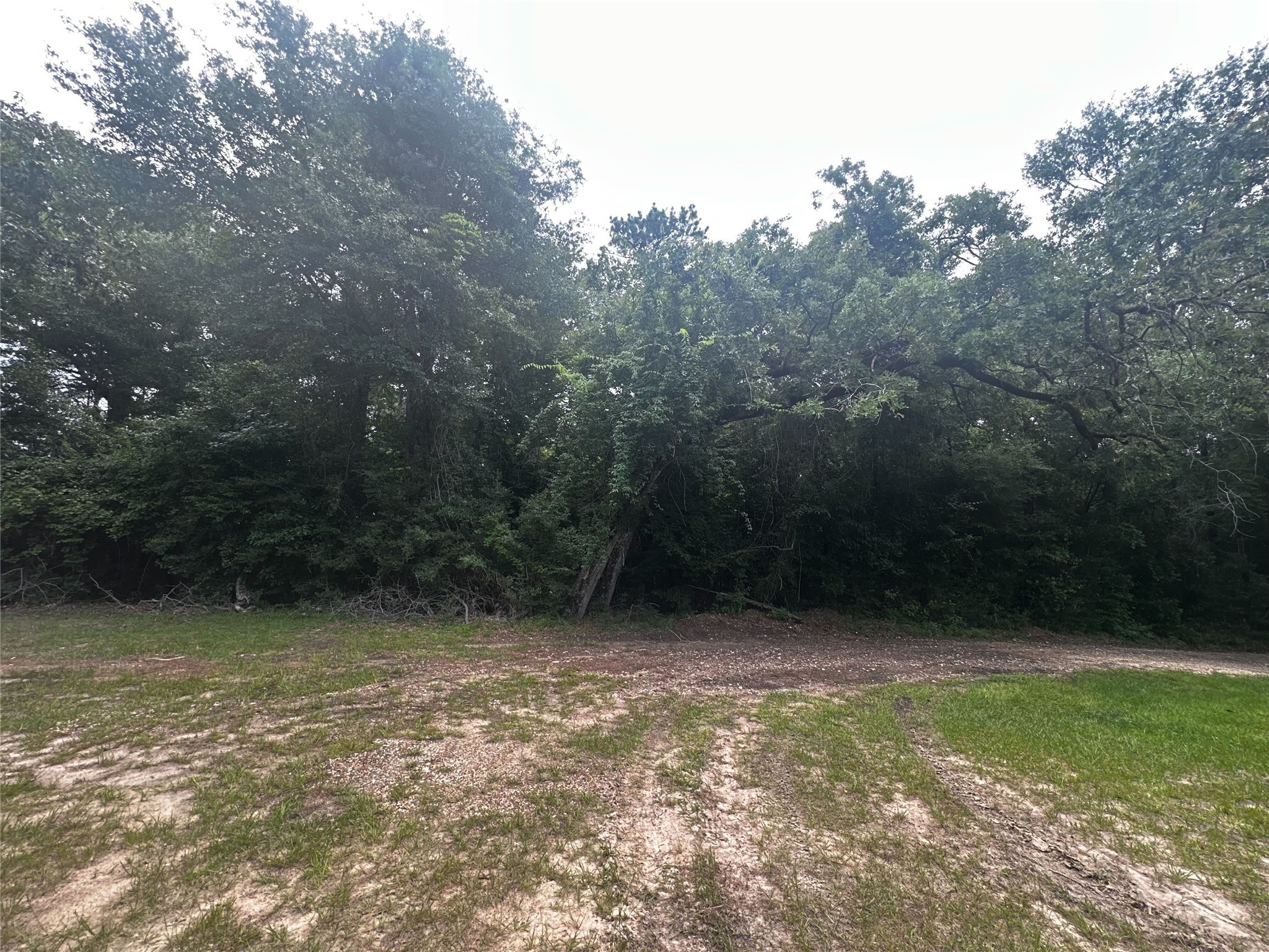Tbd Old Israel Road Livingston TX 77351