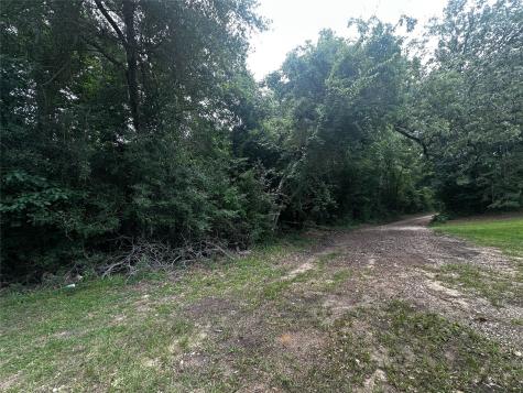 Tbd Old Israel Road Livingston TX 77351