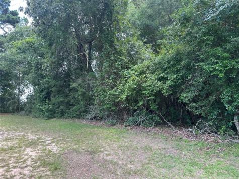 Tbd Old Israel Road Livingston TX 77351