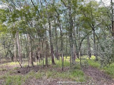 0 Road 2613 Cleveland TX 77327
