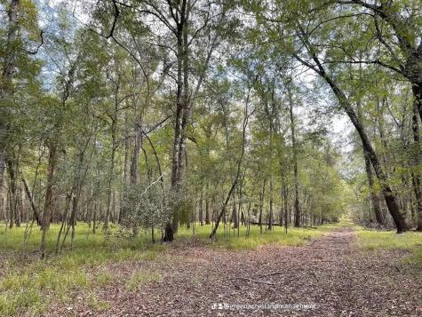 0 Road 2613 Cleveland TX 77327