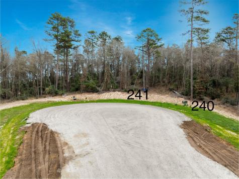 241 Hollow Hill Road New Waverly TX 77358