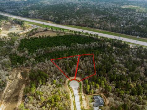 241 Hollow Hill Road New Waverly TX 77358