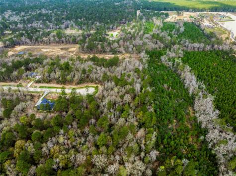 241 Hollow Hill Road New Waverly TX 77358