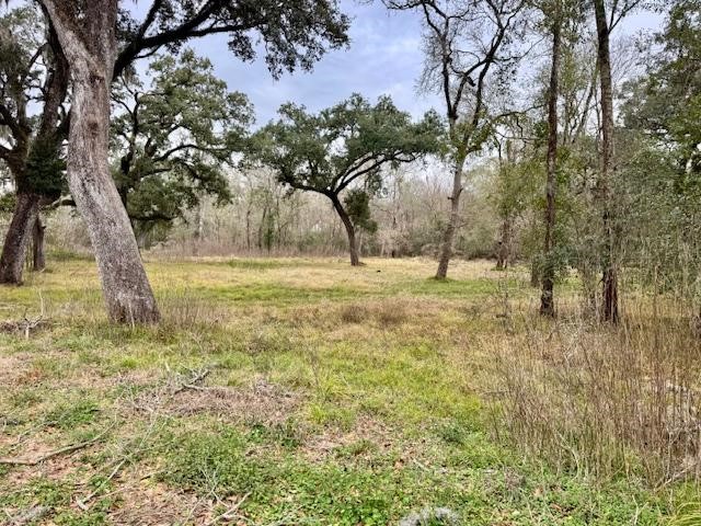 3747 County Road 611 Angleton TX 77515