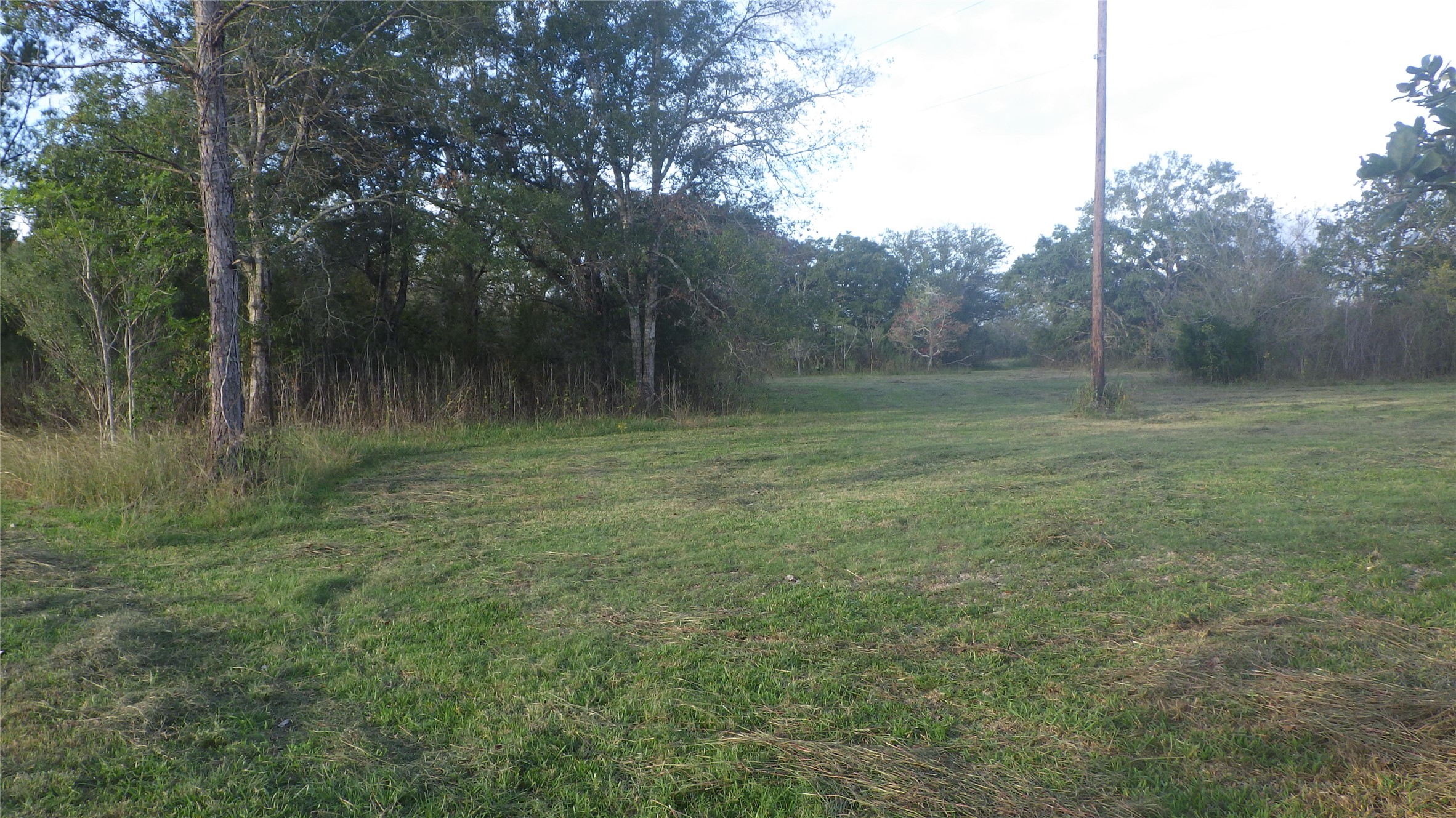 Fm Cr 319 County Road 319 Brazoria TX 77422