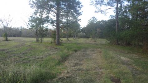 Fm Cr 319 County Road 319 Brazoria TX 77422