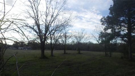 Fm Cr 319 County Road 319 Brazoria TX 77422