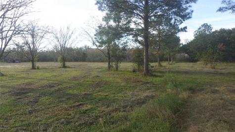 Fm Cr 319 County Road 319 Brazoria TX 77422