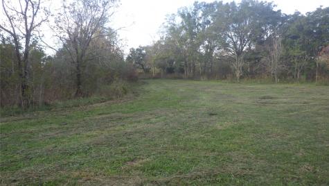 Fm Cr 319 County Road 319 Brazoria TX 77422