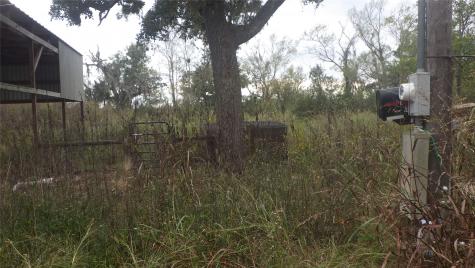 Fm Cr 319 County Road 319 Brazoria TX 77422