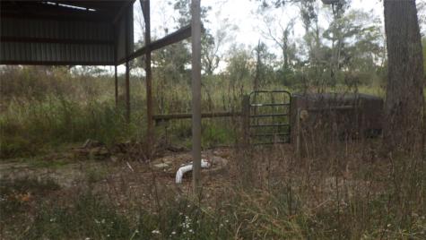 Fm Cr 319 County Road 319 Brazoria TX 77422