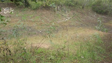 Fm Cr 319 County Road 319 Brazoria TX 77422