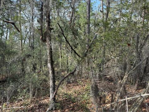 Tbd Arrow Head Lane Huntsville TX 77320