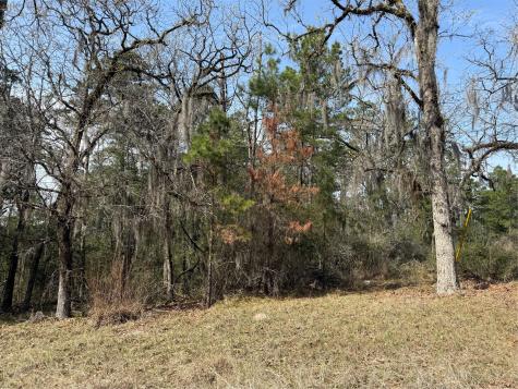 Tbd Arrow Head Lane Huntsville TX 77320