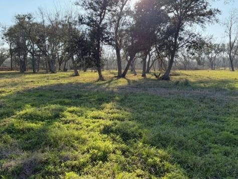 31810 Amberjack Drive Richwood TX 77515