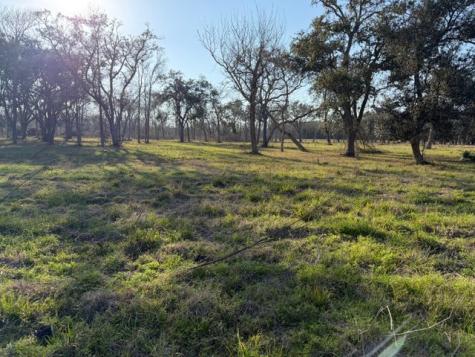 31810 Amberjack Drive Richwood TX 77515