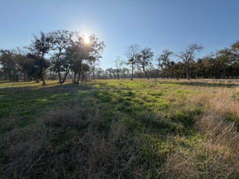 31810 Amberjack Drive Richwood TX 77515