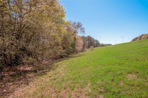 0 Loop 19 Huntsville TX 77320