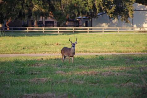 255 & 261 Middle Bayou Trail Angleton TX 77515
