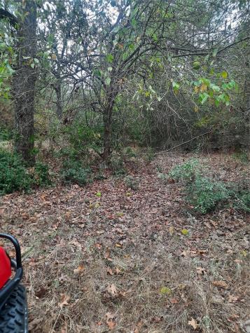 2900 County Road 3390 Crockett TX 75835
