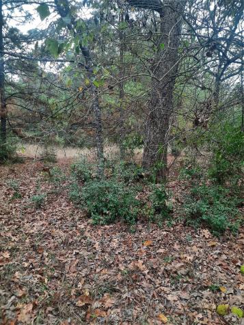 2900 County Road 3390 Crockett TX 75835