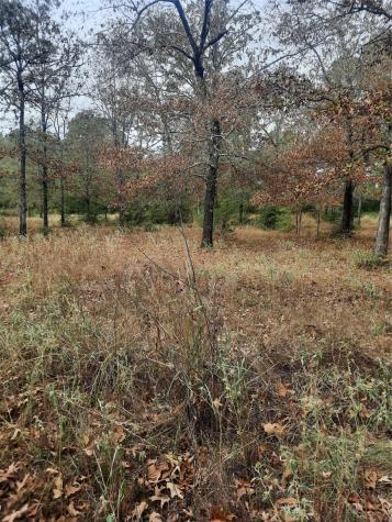 2900 County Road 3390 Crockett TX 75835
