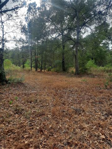 2900 County Road 3390 Crockett TX 75835