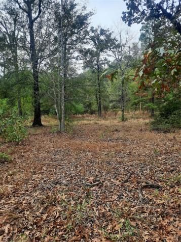2900 County Road 3390 Crockett TX 75835