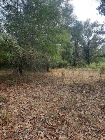 2900 County Road 3390 Crockett TX 75835