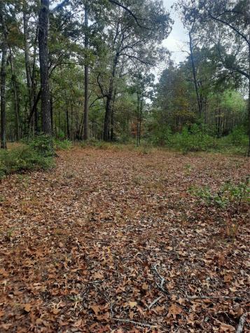 2900 County Road 3390 Crockett TX 75835