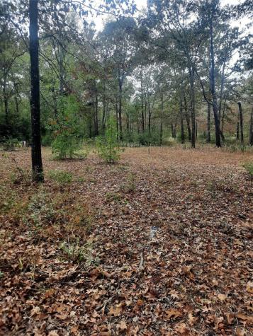 2900 County Road 3390 Crockett TX 75835
