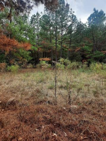 2900 County Road 3390 Crockett TX 75835