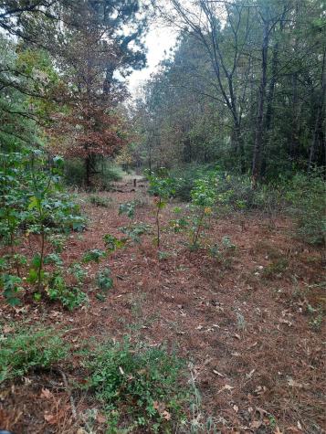 2900 County Road 3390 Crockett TX 75835