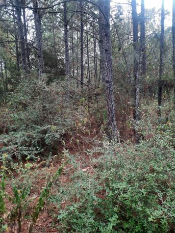 2900 County Road 3390 Crockett TX 75835