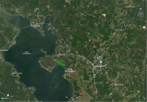 1000 Fm 3126 Road Livingston TX 77351
