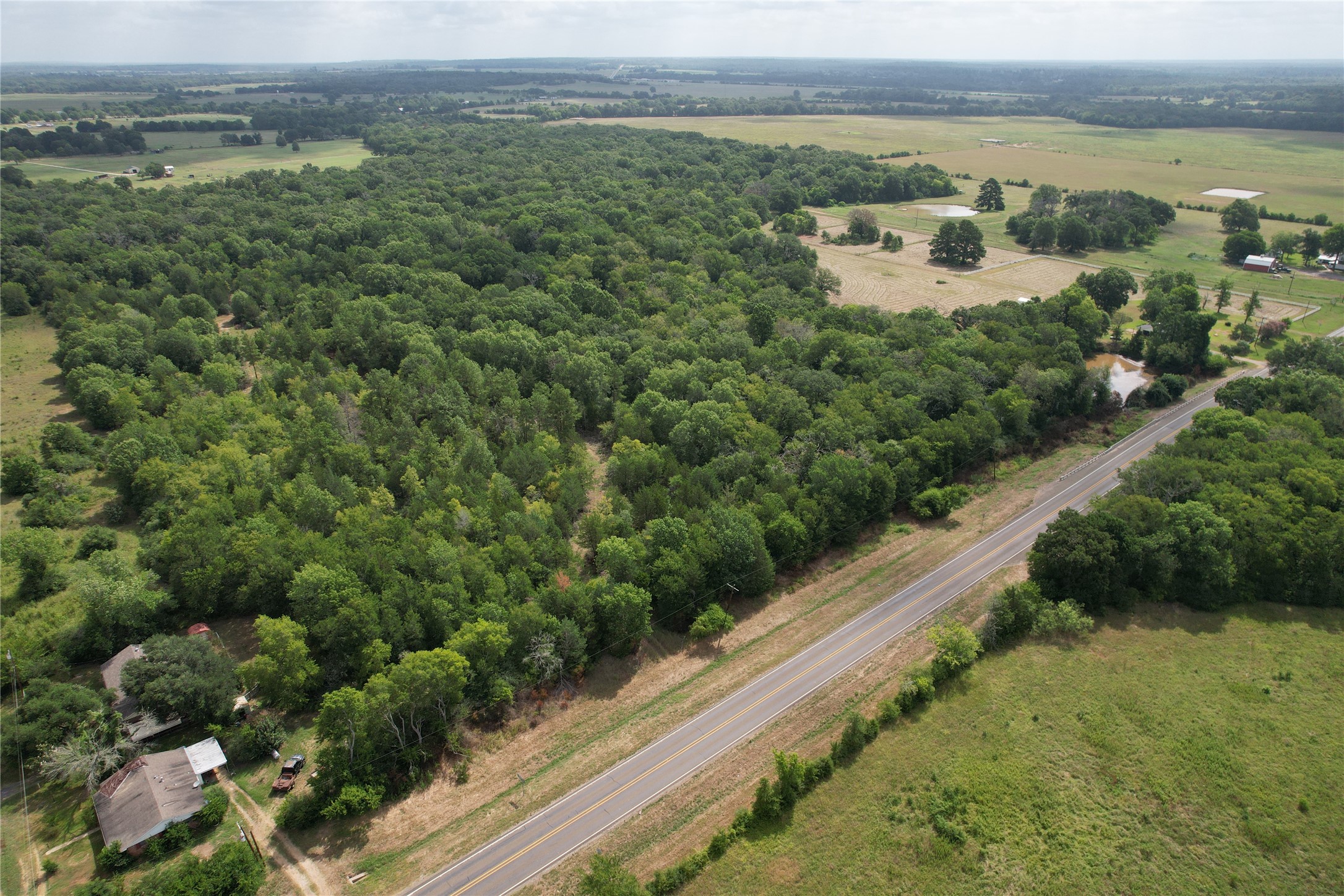 Tbd Trailwood Drive Crockett TX 75835