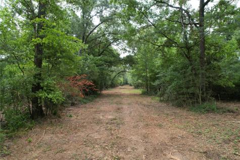 Tbd Trailwood Drive Crockett TX 75835