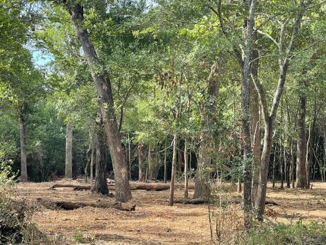 Tbd Trailwood Drive Crockett TX 75835