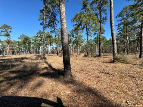 TBD28 Private Road 6028 Brookeland TX 75931