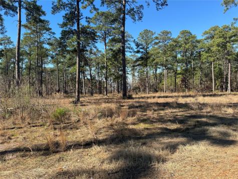 TBD28 Private Road 6028 Brookeland TX 75931