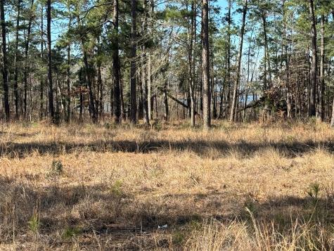TBD28 Private Road 6028 Brookeland TX 75931